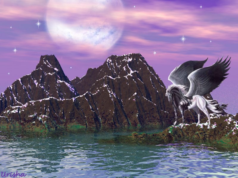 enchantednightwallpaper8x6.jpg