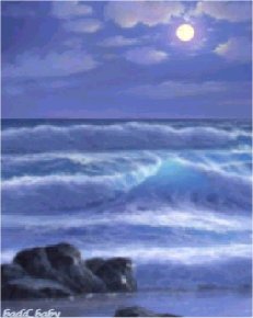 moonlight.jpg