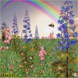springmeadow.jpg