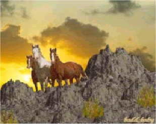 wildhorses.jpg