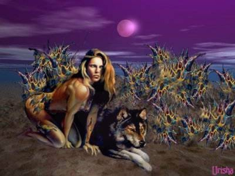wolven22revised800x600.jpg